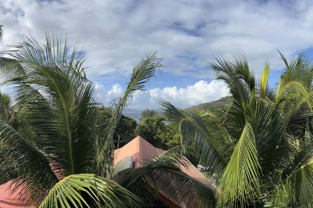 Le Ti Dauphin Plage Anse A L'Ane Ле Троа-Илет Екстериор снимка